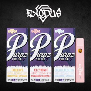 Exodus Purpz Disposable