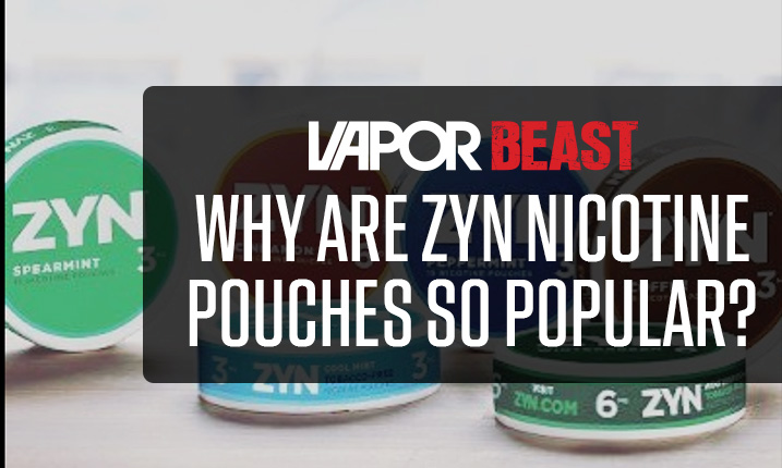 Why Are Zyn Nicotine Pouches So Popular?